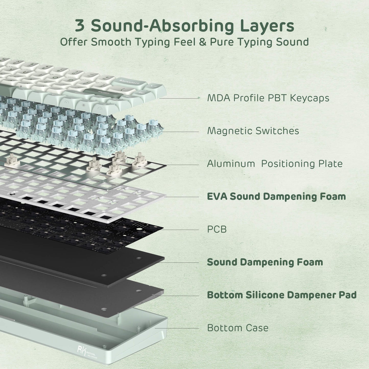 Cross-sectional view of a keyboard with labeled components on a light green background