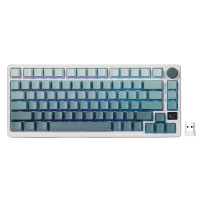 RK ROYAL KLUDGE M75 75% Wireless Mechanical Keyboard, 81 Keys Gasket-Mount, OLED Smart Display, Rotary Knob, Hot-Swappable Pre-Lubed Cloud Switches, Gradient PBT Keycaps, RGB Backlighting, Triple Mode Connectivity for Gaming & Office Use