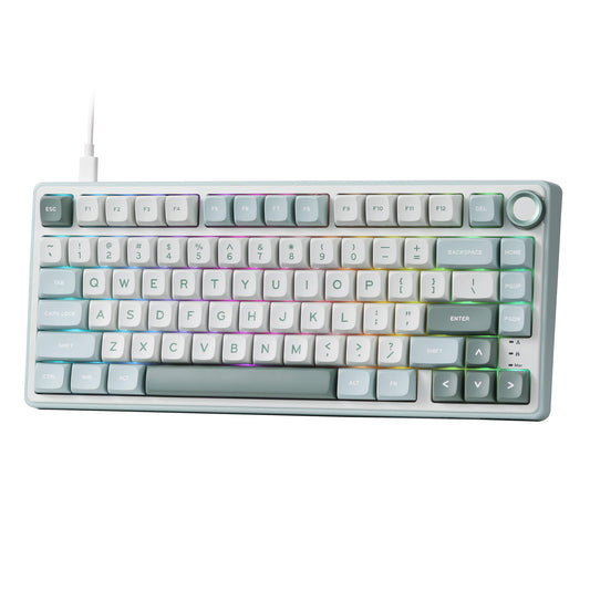 RK ROYAL KLUDGE R75 Mechanical Keyboard Wired with Volume Knob, 75% Custom Gaming Keyboard Gasket Mount RGB Backlit with Software, MDA Profile, PBT Keycaps, Hot Swappable Linear Switch Creamy Sound, green