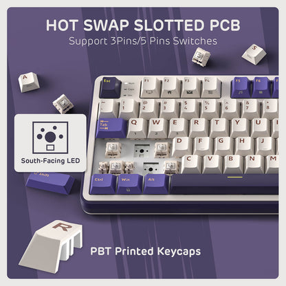 RK Royal Kludge S98 96% Mechanical keyboard with hot swap slotted PCB and PBT printed keycaps on a purple background