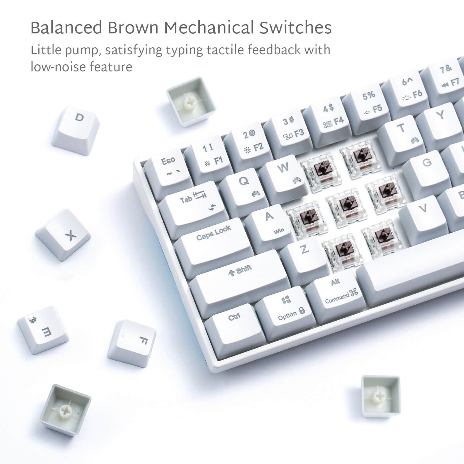 RK71 70% RGB Wireless Mechanical Gaming Keyboard with Brown Switches