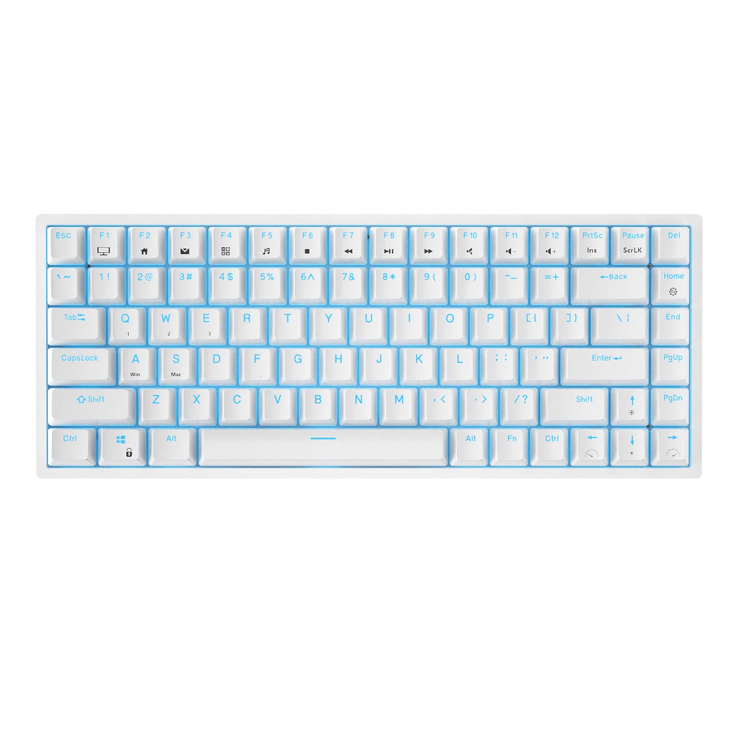 RK ROYAL KLUDGE RK84 Wireless Blue Backlit 75% Triple Mode BT5.0/2.4G/USB-C Hot Swappable Mechanical Keyboard, 84 Keys Tenkeyless Mechanical Keyboard w/Programmable Software, Blue Switch