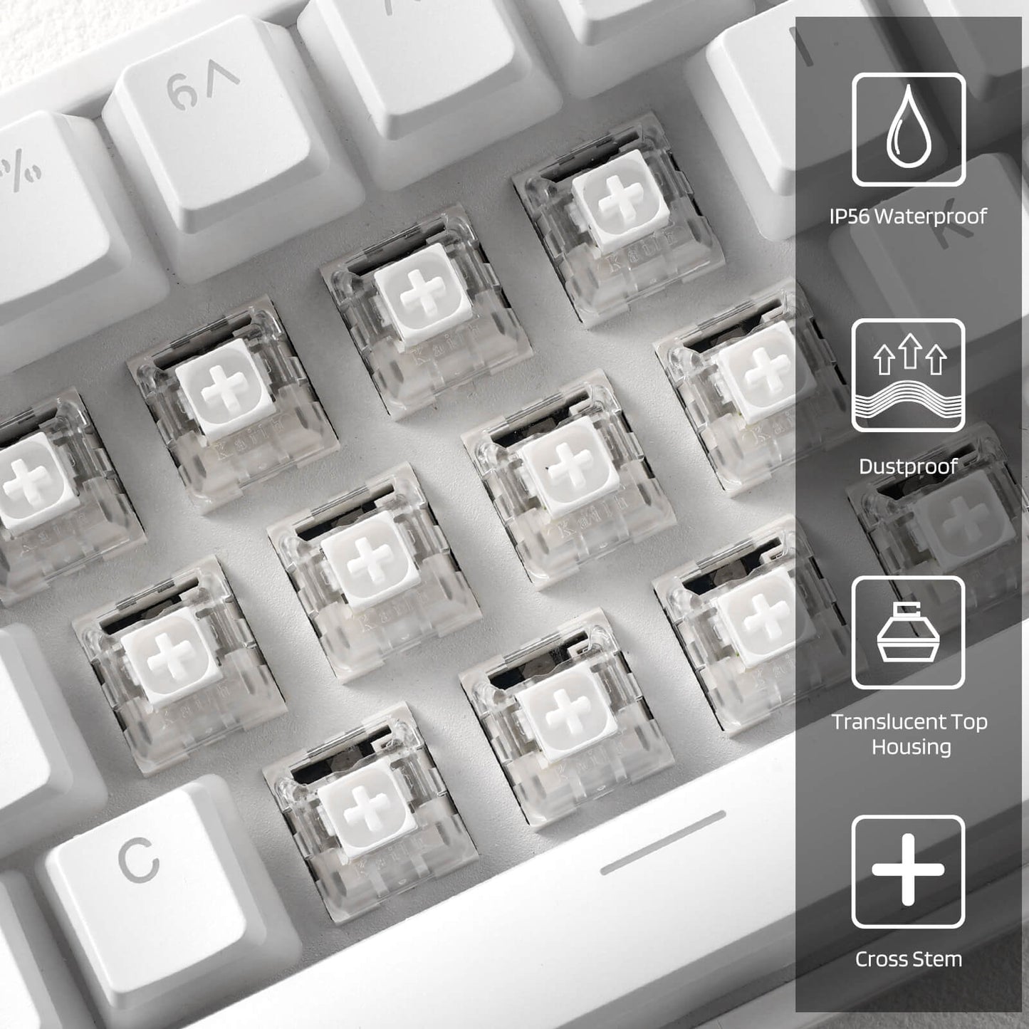 Kailh Box Switches White