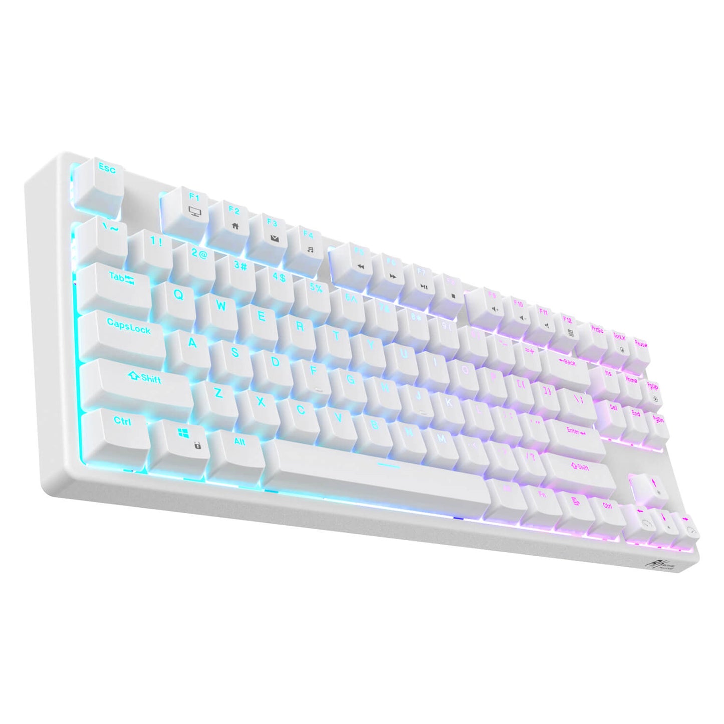 tenkeyless gaming keyboard