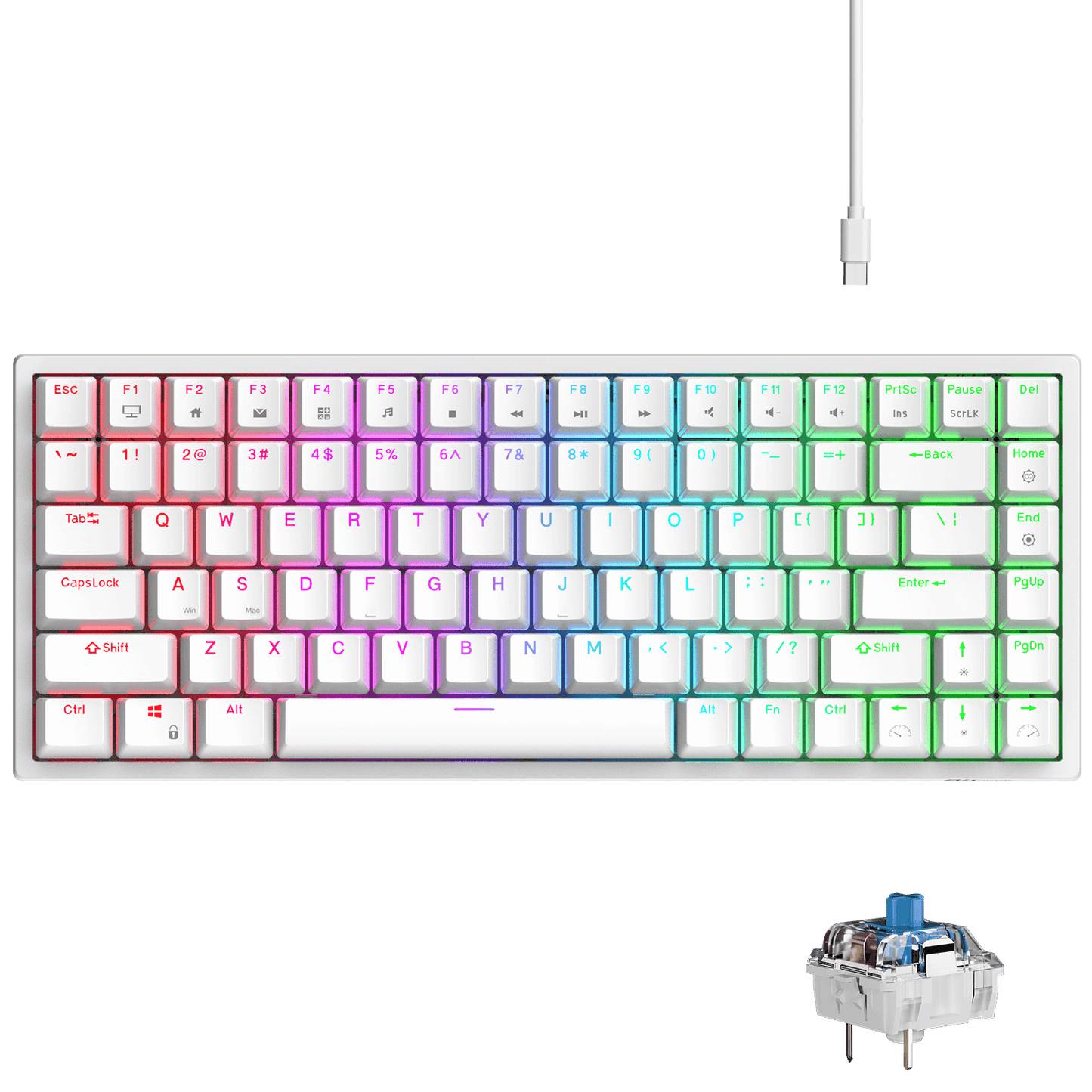 RK ROYAL KLUDGE RK84 Wired RGB 75% Hot Swappable Mechanical Keyboard, 84 Keys Tenkeyless TKL Gaming Keyboard w/Programmable Software and High-Capacity Battery, RK blue Switch