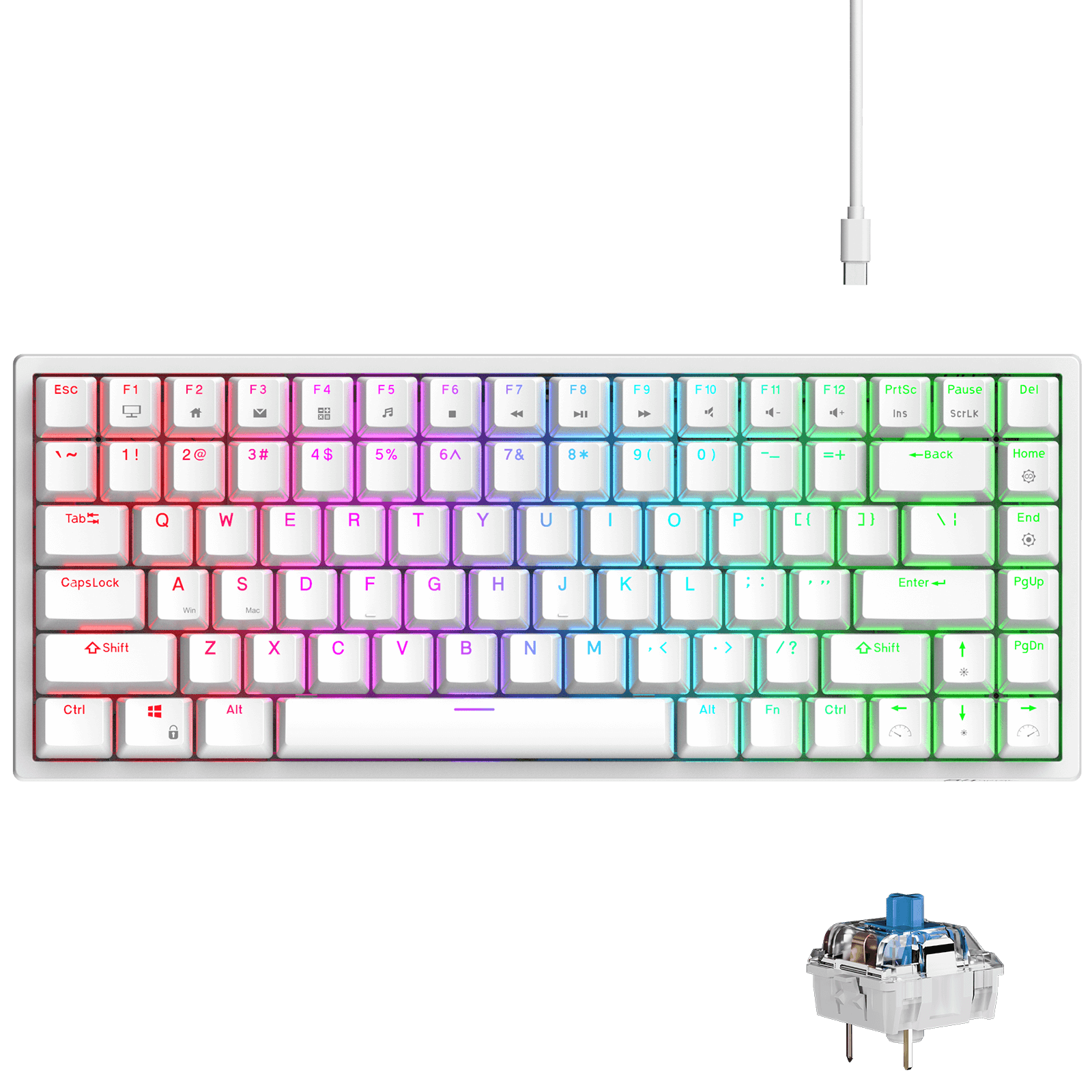 RK ROYAL KLUDGE RK84 Wired RGB 75% Hot Swappable Mechanical Keyboard, 84 Keys Tenkeyless TKL Gaming Keyboard w/Programmable Software and High-Capacity Battery, RK blue Switch