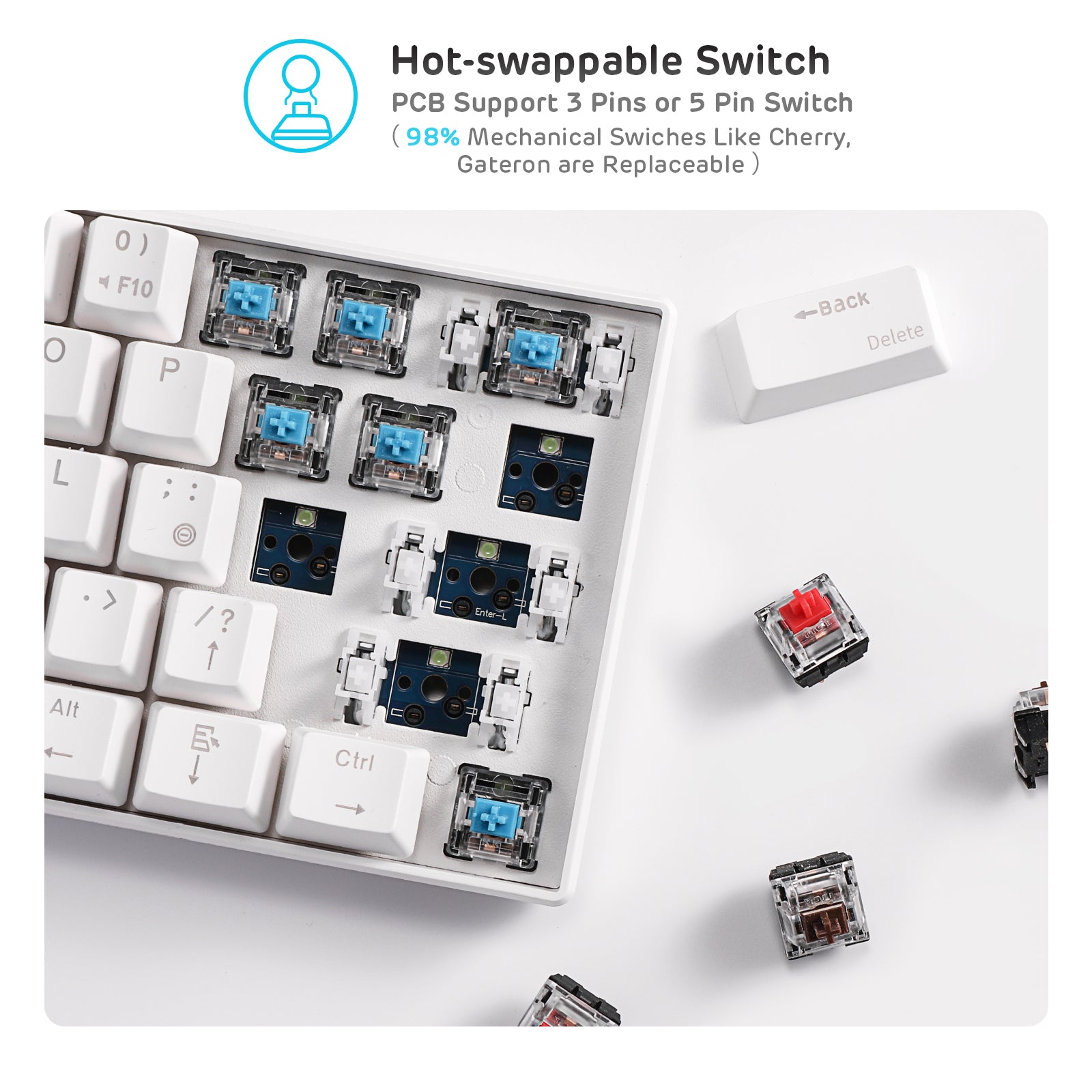 Royal Kludge RK61 keyboard showing hot-swappable switches. Supports 3-pin and 5-pin mechanical switches, including Cherry and Gateron, for easy customization